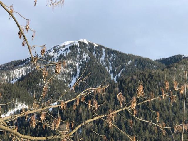 Landhaus Wiesner ab September bis Mai OHNE FRÜHSTÜCK Rotta Exterior foto